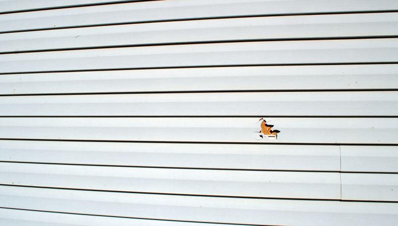 Siding Hole Patching