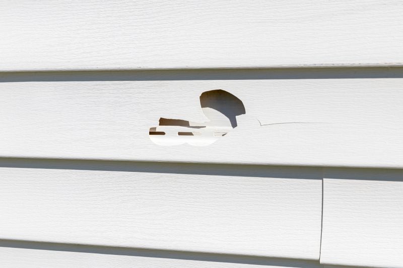Siding Repair Image